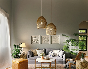 Hall and living room